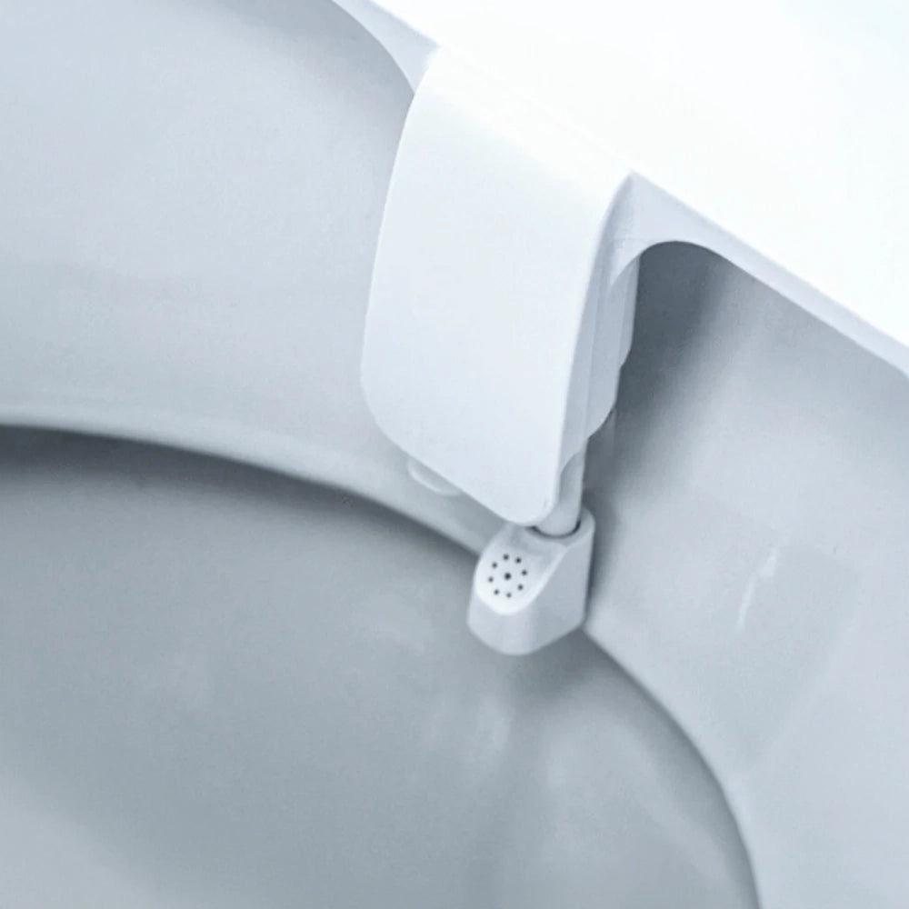 Buses Bidet BOKU