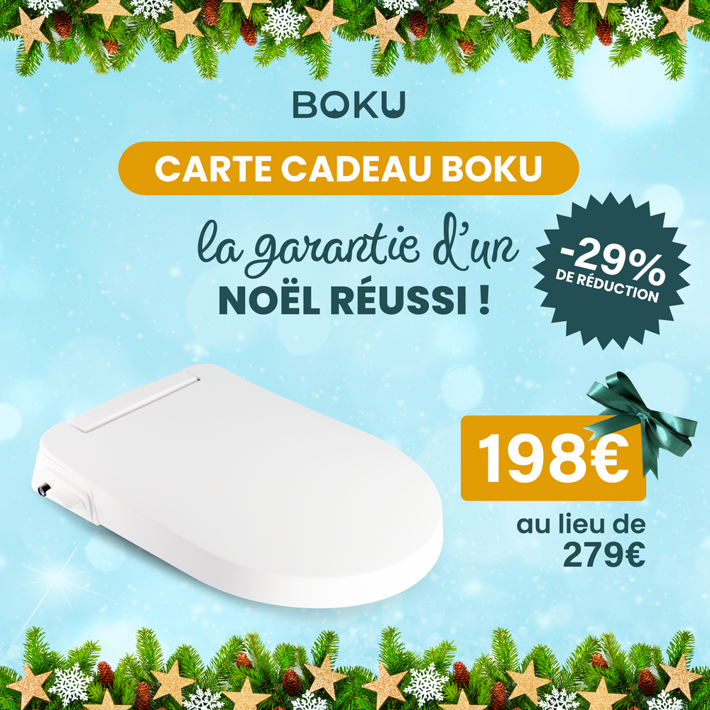 Carte cadeau 279€