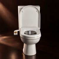 Bidet - WC Japonais en Kit