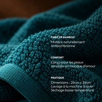 Serviettes Bambou (5 serviettes antibactériennes)